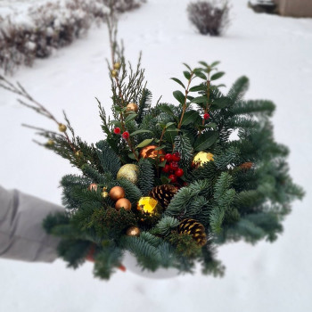 Композиция интерьерная новогодняя (в керамическом кашпо d20)