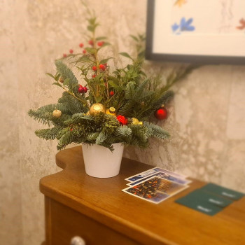 Композиция новогодняя  из нобилиса (h 25см)