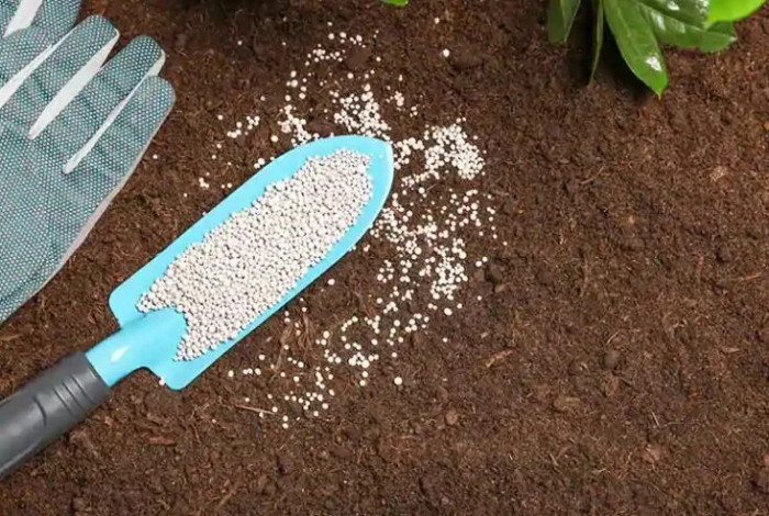 Подкормка растений