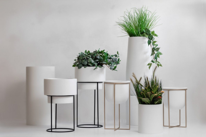 Подбор растений и кашпо