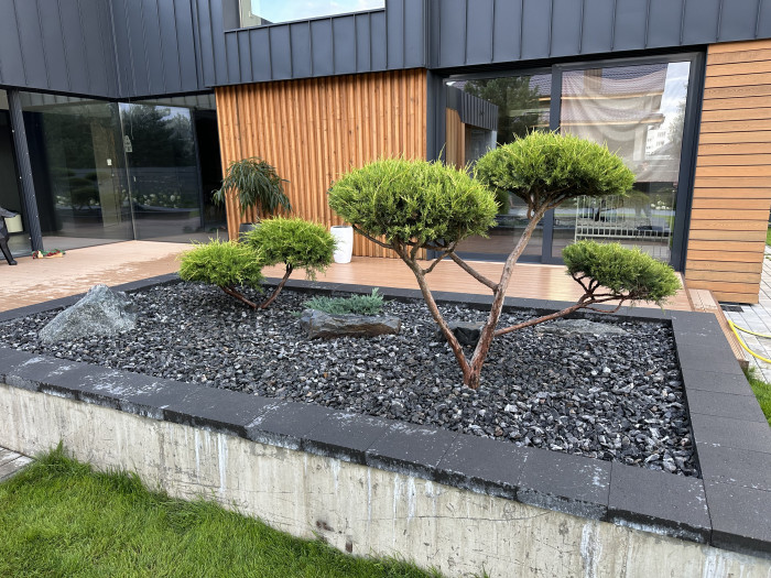 Высадка  декоративных деревьев и кустарников