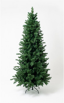 Ель "Ле-ман" Узкая Премиум