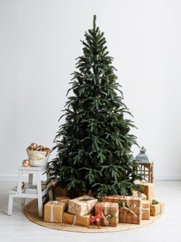 Ель "Фьерро" Премиум