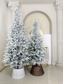 Ель "Киото" Заснеженная