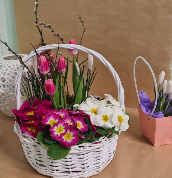 Корзинка из первоцветов (нарцисс, крокус, примула, мускари,...)  миди