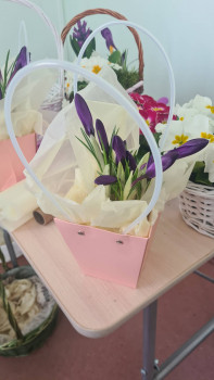 Пакет с ручками (картон) 13*15*12,5см