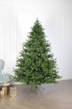 Ель "Шотландская"