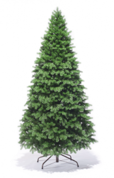 Ель "Стройная"