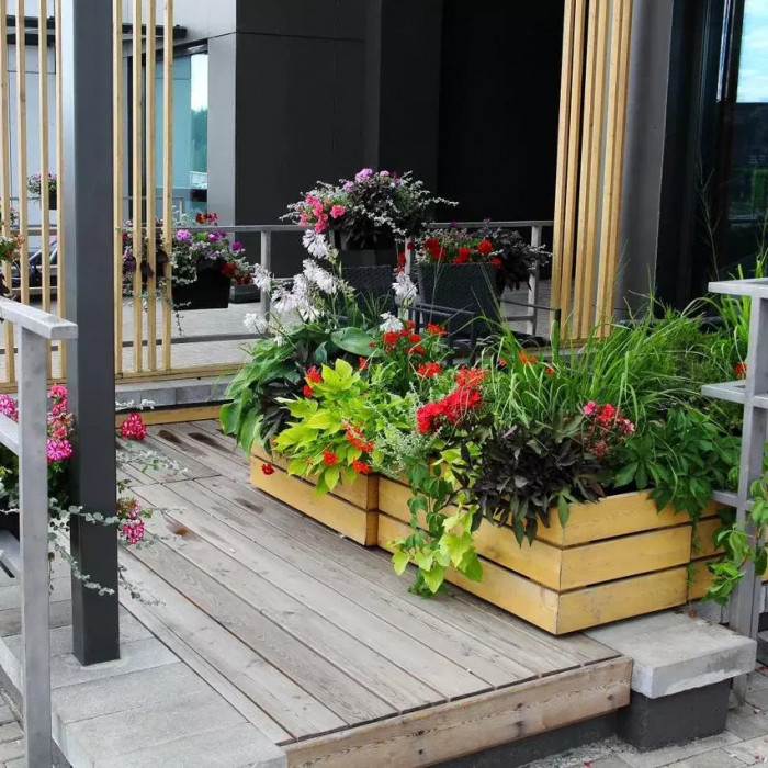 Контейнерное озеленение