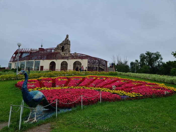 Композиционная высадка однолетних растений